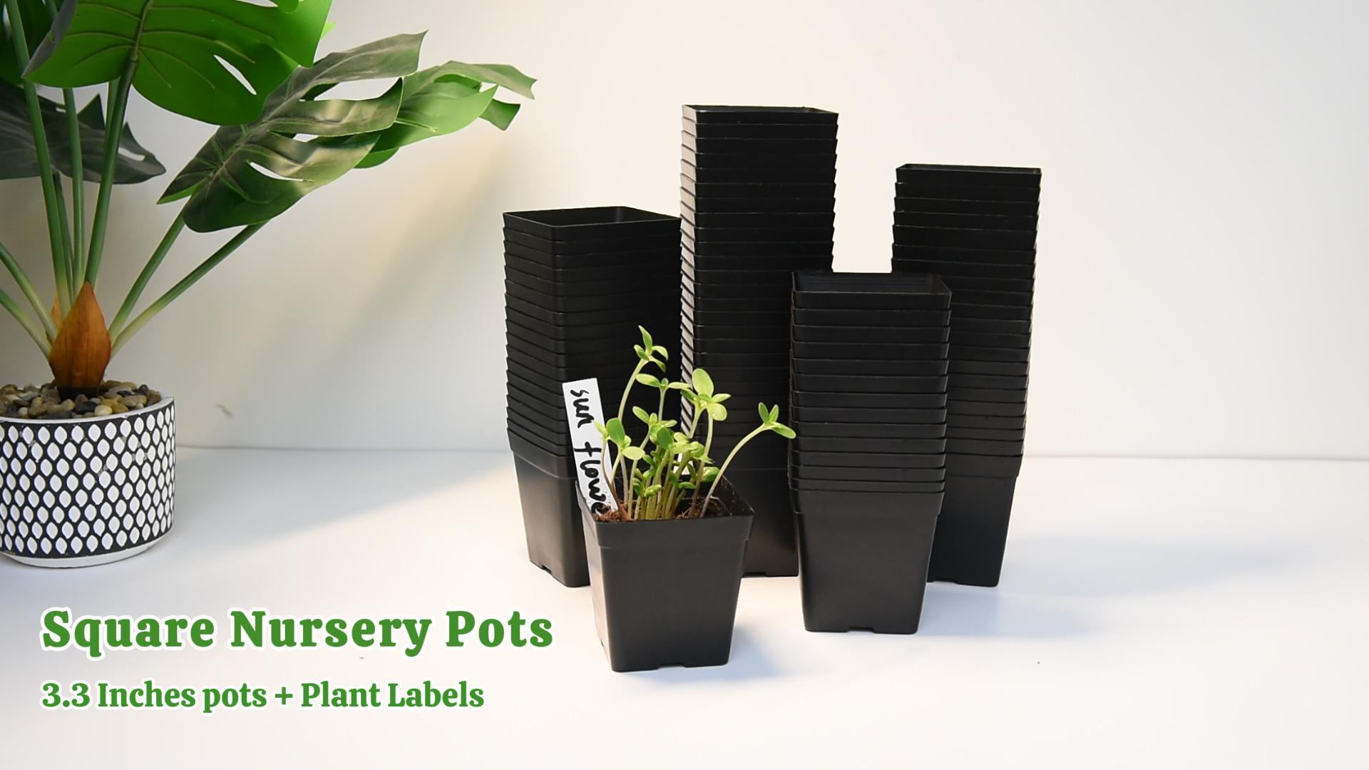 Amazon.com: June Fox Square Nursery Pots 3.3 Inches Flexible